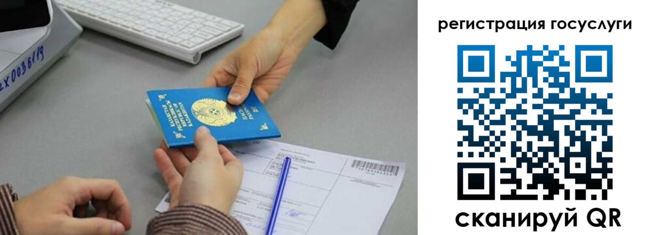 где прописаться в Химках